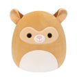 Peluche Squishmallows 30cm W17 - Toy Partner - Envio Aleatório Fashion